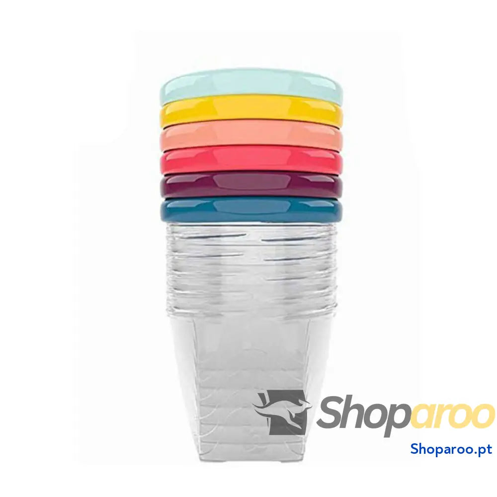 Recipiente para Conservar Alimentos Babymoov Babybols 250 ml (6 pcs) 6 x 250 ml
