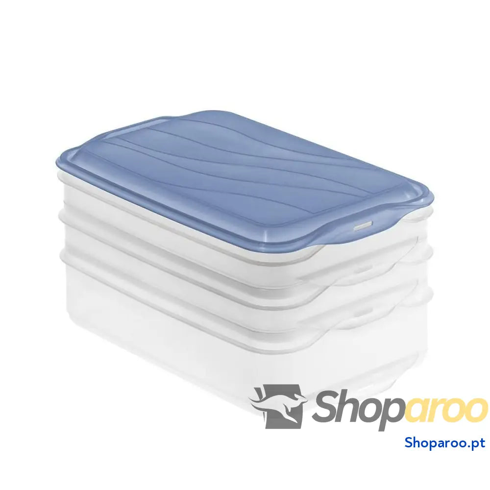 Recipiente para Conservar Alimentos Rotho Rondo Horizon blue Azul Transparente 750 ml 1,35 L