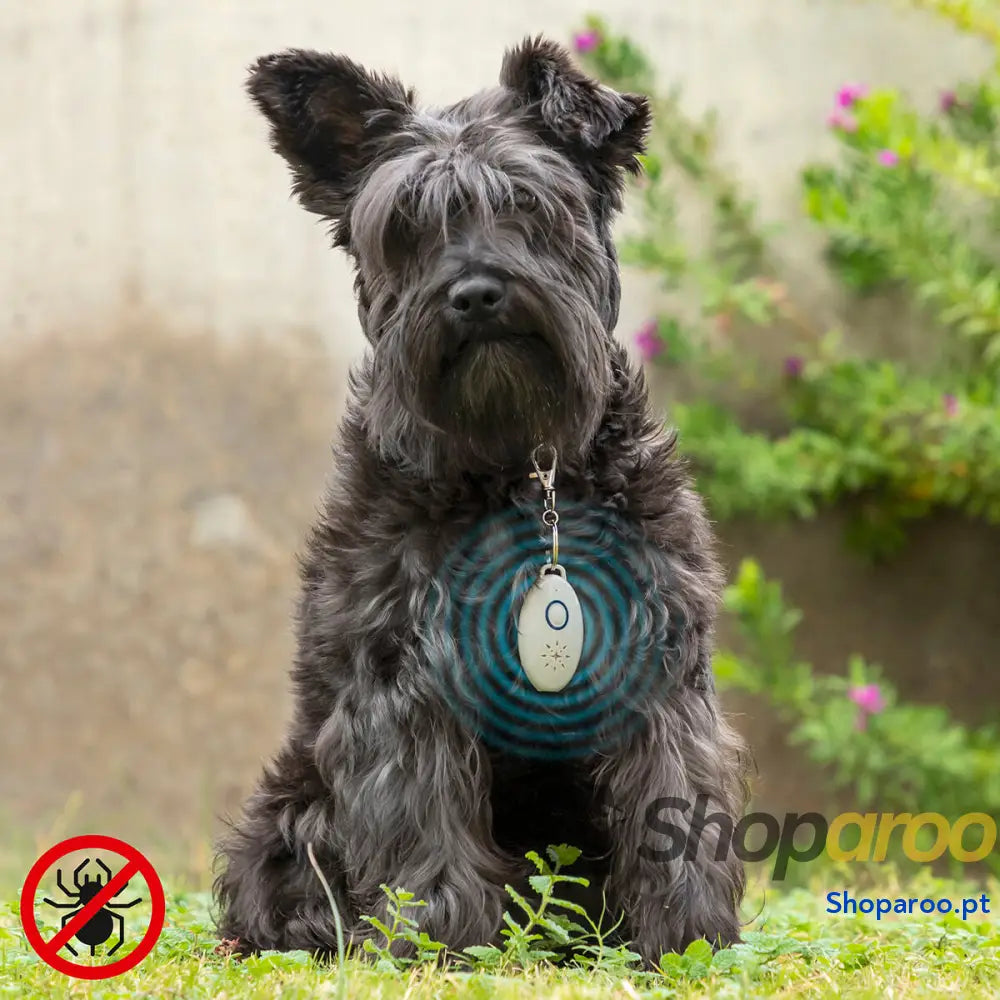 Repelente de Parasitas por Ultrassom Recarregável para Animais de Estimação PetRep InnovaGoods