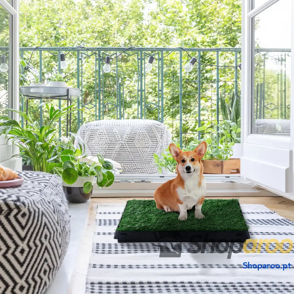 Resguardo de Treino para Cães com Bandeja Lavável Verde 51x63x6 cm