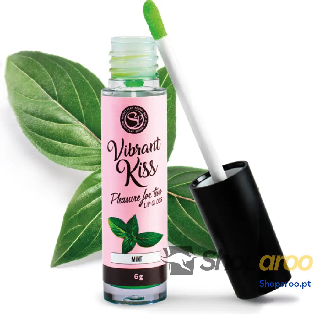 SECRETPLAY LIP GLOSS VIBRANT KISS MENTA