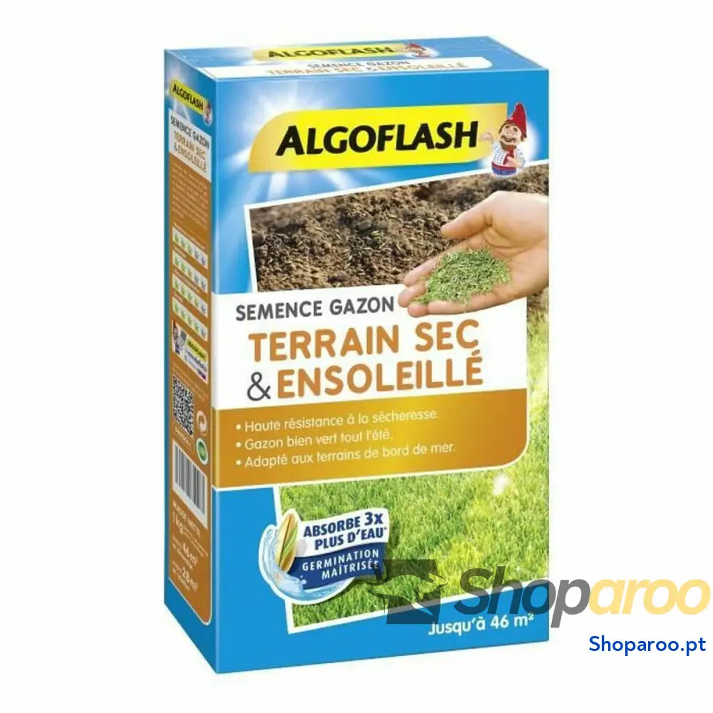 Sementes Algoflash SEMSOL1