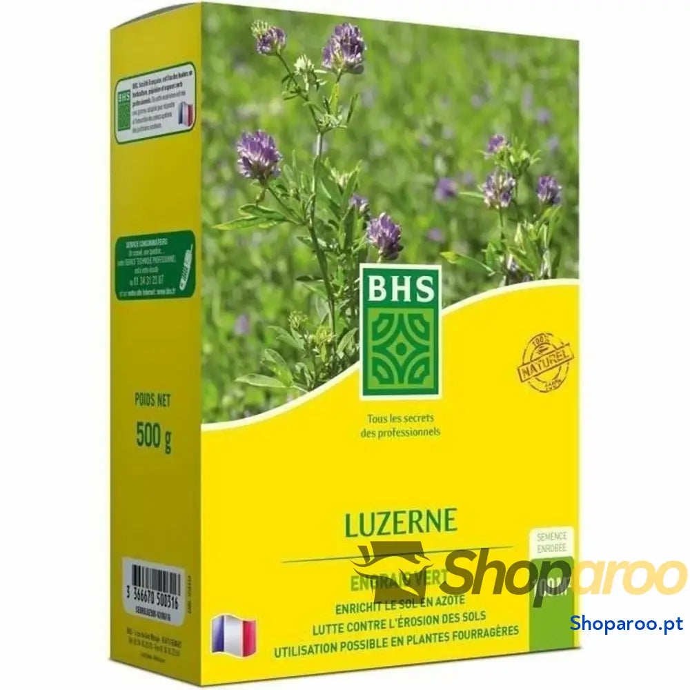 Sementes BHS Luzerne