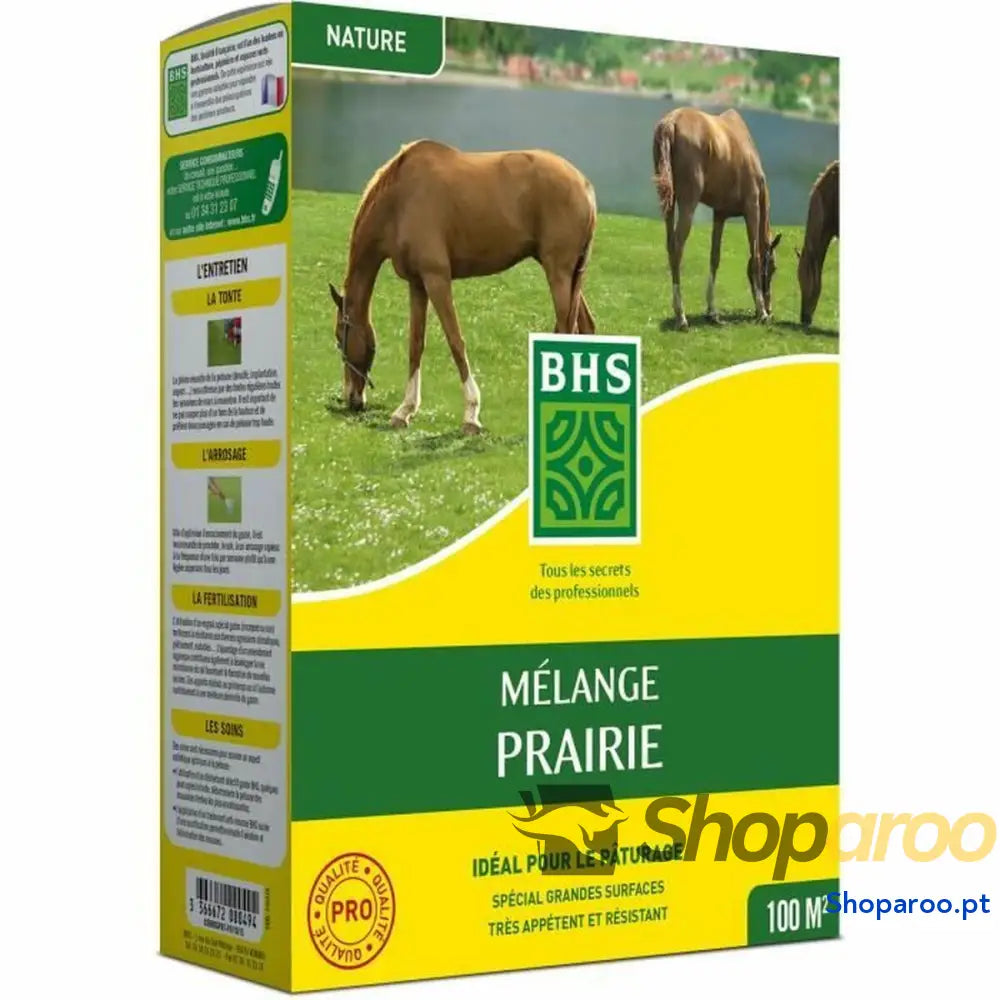 Sementes BHS Mélange 500 g