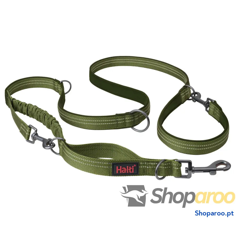 Trela para Cães Company of Animals Verde S