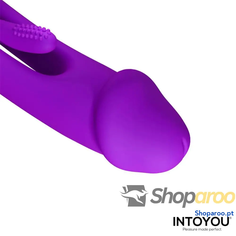Vibrador INTOYOU Siter 2.0 com língua oscilante percussão e cabeças intercambiáveis